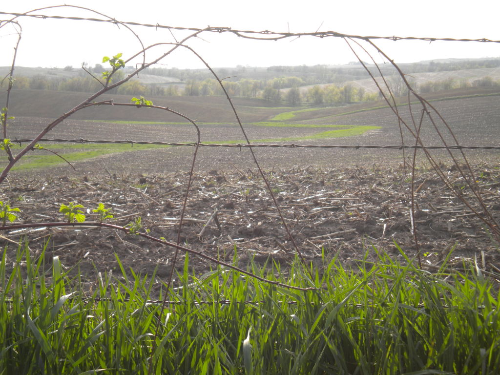 In early spring, from the backyard of the Holdefer home west of Mingo, the neighbor's well-tended farmland promises bounty. The use of this land, as well as of the Chichaqua Valley Trail flanked by rows of trees visible in the distance, would also be disrupted during pipeline construction.